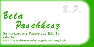 bela paschkesz business card